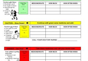 Asthma Home Management Plan Of Care Pioneer Valley asthma Coalition asthma Action Plans