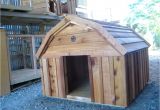 Barn Dog House Plans Elegant Barn Dog House Plans New Home Plans Design