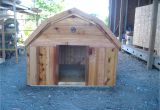 Barn Dog House Plans Free Barn Style Dog House Plans