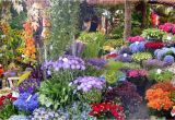 Better Homes and Gardens Flower Garden Plans Una Postal De Primavera Desde Holanda