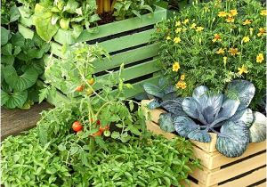 Better Homes and Gardens Plan A Garden Nail Blog Easy to Better Home and Garden Shed Plans