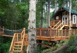 Big Tree House Plans 18 Amazing Tree House Designs Mostbeautifulthings