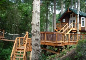 Big Tree House Plans 18 Amazing Tree House Designs Mostbeautifulthings