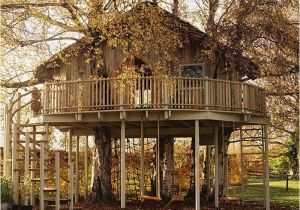 Big Tree House Plans 20 Incredible Tree Houses From Around the World Ginva