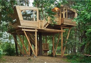 Big Tree House Plans Almke Treehouse by Baumraum Provides Gathering Place for