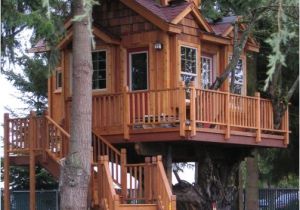 Big Tree House Plans Casa Na Arvore 60 Modelos Para Adultos E Criancas