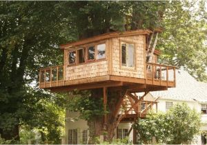 Big Tree House Plans How to Build A Simple Treehouse without A Tree Wooden Global