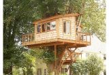 Big Tree House Plans Large Tree House Plans 28 Images Tree House Design