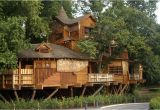 Big Tree House Plans What is Glamping Discover Glamping