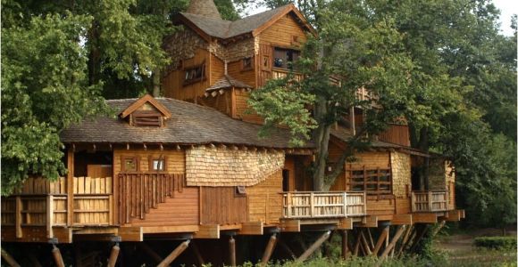 Big Tree House Plans What is Glamping Discover Glamping