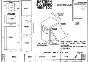 Bird House Plans Free Acravan Bluebird ornicopia 16