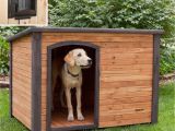 Building Plans for A Dog House Diy Dog House for Beginner Ideas