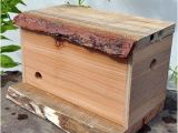 Bumble Bee House Plans Bumble Bee Nest Box Yard Pinterest Gardens Bee