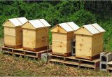 Bumble Bee House Plans the Best Ventilated Gabled Roof Honey Bee Suite