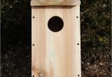 Cedar Bird House Plans 38 Free Birdhouse Plans Guide Patterns