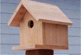 Cedar Bird House Plans Cute Cedar Bird House Plans New Home Plans Design