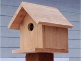 Cedar Bird House Plans Cute Cedar Bird House Plans New Home Plans Design