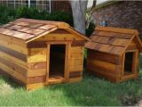 Cedar Dog House Plans 12 Wonderfully Unusual Dog Houses