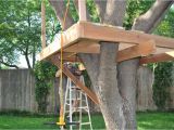 Cheap Tree House Plans How to Build A Tree House Plans Best House Design How to