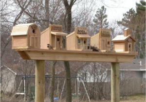 Cool Bird House Plans 121 Best Images About Bird Houses On Pinterest