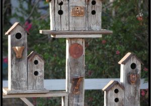 Cool Bird House Plans 25 Best Ideas About Birdhouses On Pinterest Building