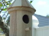 Cool Bird House Plans Birds House