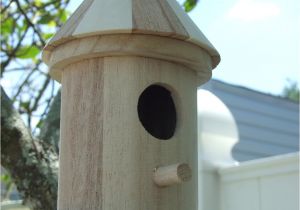 Cool Bird House Plans Birds House