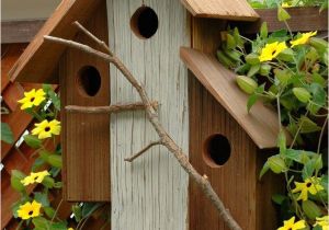 Cool Bird House Plans Unique Bird Houses Woodworking Projects Plans