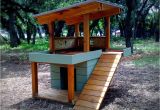 Cool Dog House Plans Awesome and Cool Dog Houses Design Ideas for Your Pet