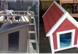 Cool Dog House Plans Cool Diy Dog House