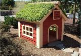 Cool Dog House Plans Cool Dog House Plans Beautiful Cool Dog Houses Plans New