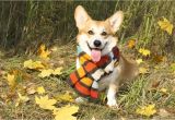 Corgi Home Plan Blakely Corgi Homeplan How Safe is Your Home