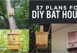 Diy Bat House Plans 37 Free Diy Bat House Plans that Will attract the Natural