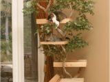 Diy Cat Tree House Plans Cat Tree Houses Curbly