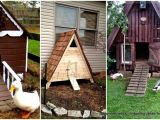 Diy Duck House Plans 57 Diy Chicken Coop Plans In Easy to Build Tutorials 100