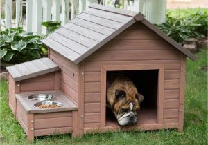 Diy Home Plans Diy Dog House for Beginner Ideas