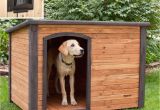 Dog House Plans Home Depot Igloo Dog House Door Fearsome 23 Luxury Home Depot Dog