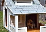 Dog House Plans Home Depot Outstanding Home Depot Dog House Plans Pictures Best