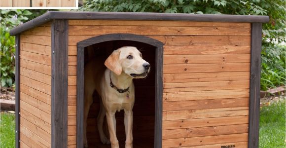 Dog Houses Plans for Large Dogs Diy Dog House for Beginner Ideas