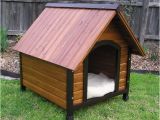 Easy to Build Dog House Plans Dog Houses and Dog House Plans Animals Library