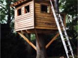 Easy to Build Tree House Plans 9 Diy Tree Houses with Free Plans to Excite Your Kids