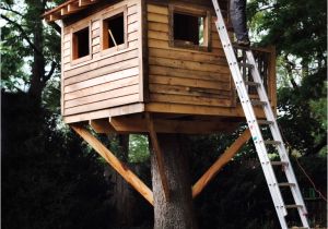 Easy to Build Tree House Plans 9 Diy Tree Houses with Free Plans to Excite Your Kids