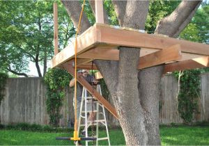 Easy to Build Tree House Plans How to Build A Tree House Plans Best House Design How to