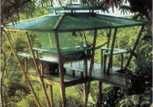 Easy to Build Tree House Plans How to Build A Treehouse Diy Mother Earth News