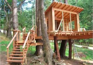 Easy to Build Tree House Plans How to Build A Treehouse In the Backyard