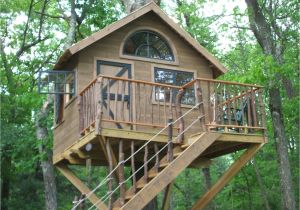 Easy to Build Tree House Plans Pictures Of Tree Houses and Play Houses From Around the