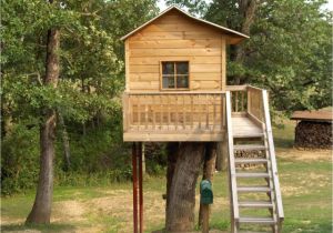 Easy to Build Tree House Plans Simple Tree House Design Plans Easy to Build Tree House