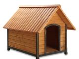 Elevated Dog House Plans Pet Squeak Arf Frame Raised Wooden Dog House Free