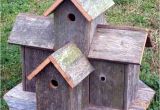 Fancy Bird House Plans How to Build Bird House Plans Decorative Pdf Plans