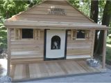 Free Large Breed Dog House Plans Lovely Insulated Dog House Plans for Large Dogs Free New